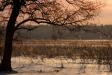 _IMG1618 copy.jpg